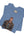 Viking Shieldmaiden Tee — Nordic Warrior Graphic T-Shirt