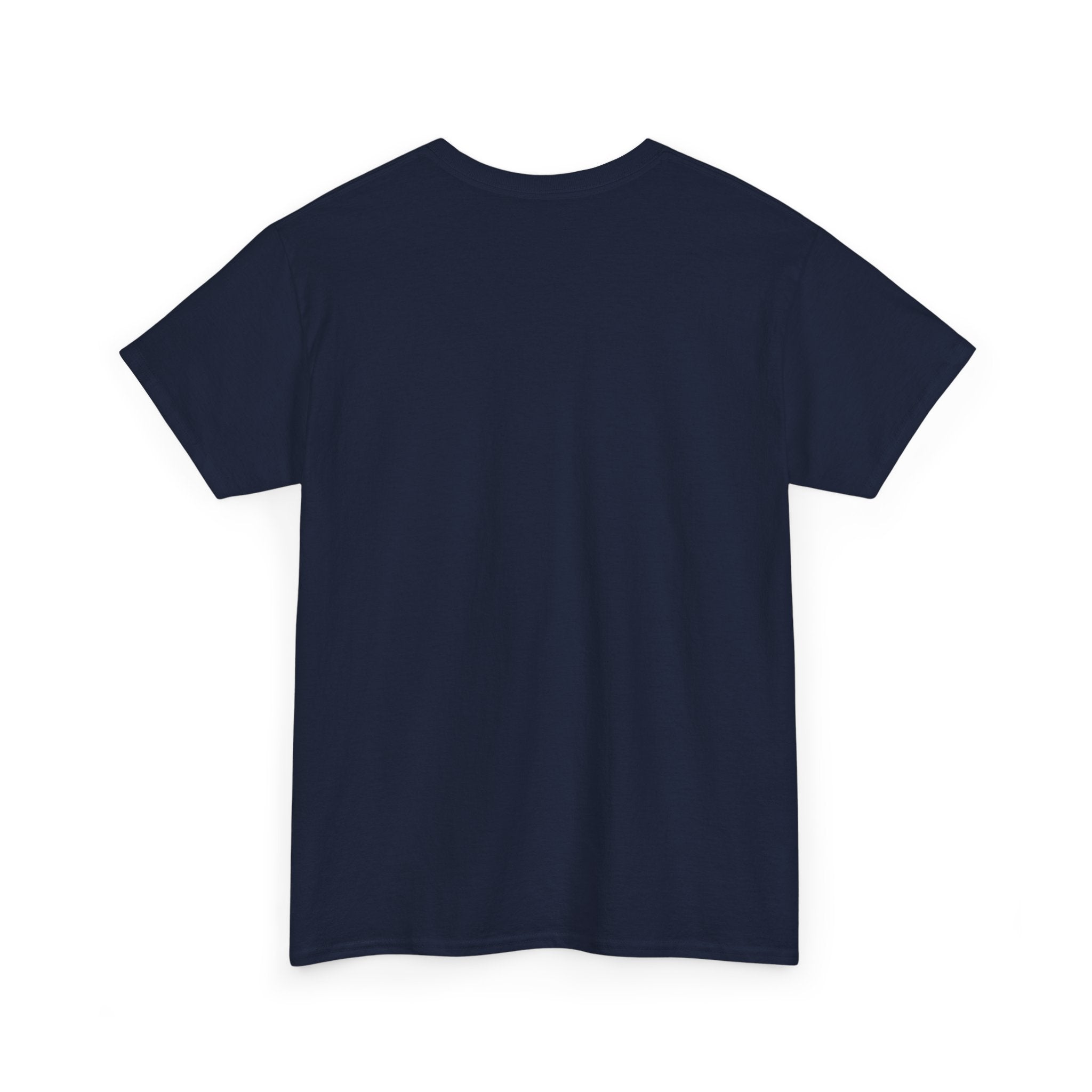 Valkyrie Shield Tee — Norse Warrior Graphic T-Shirt