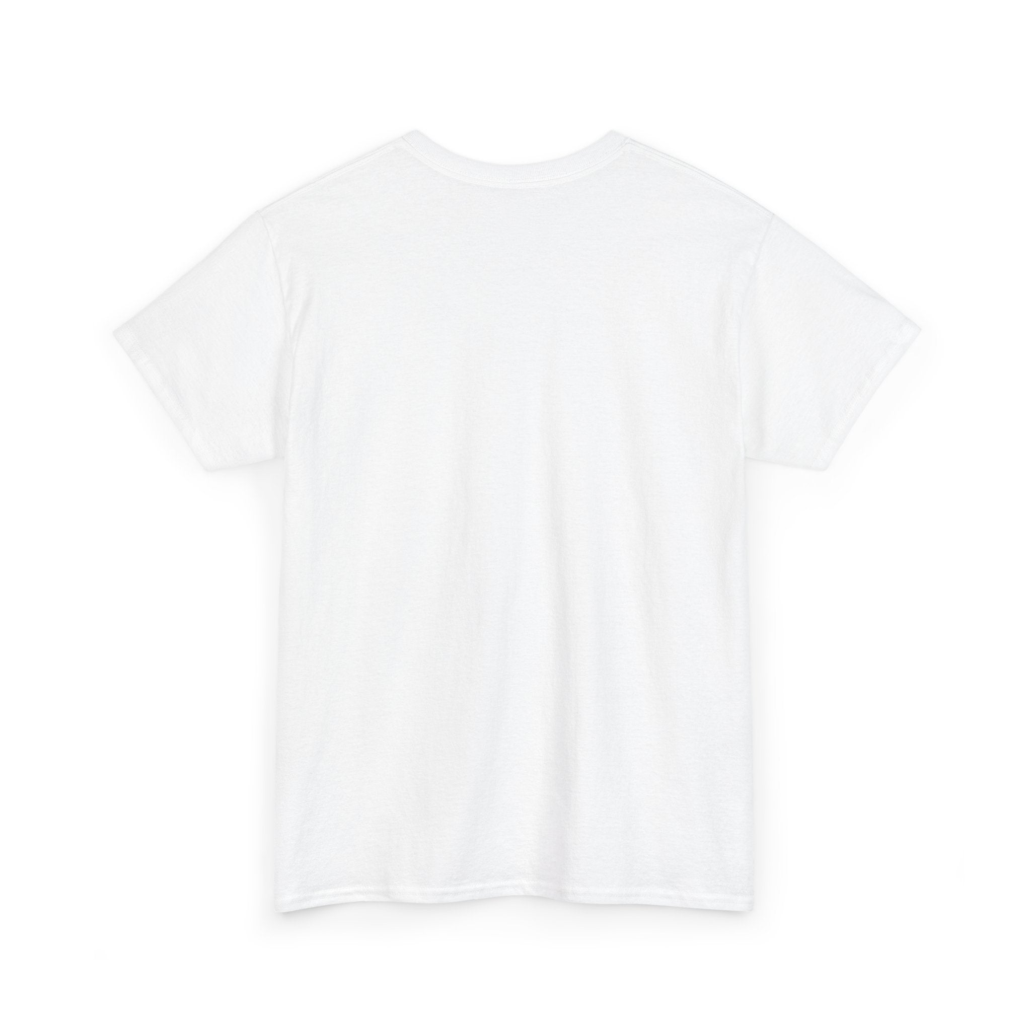 Valkyrie Shield Tee — Norse Warrior Graphic T-Shirt